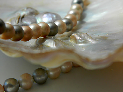 natural pearls on shell